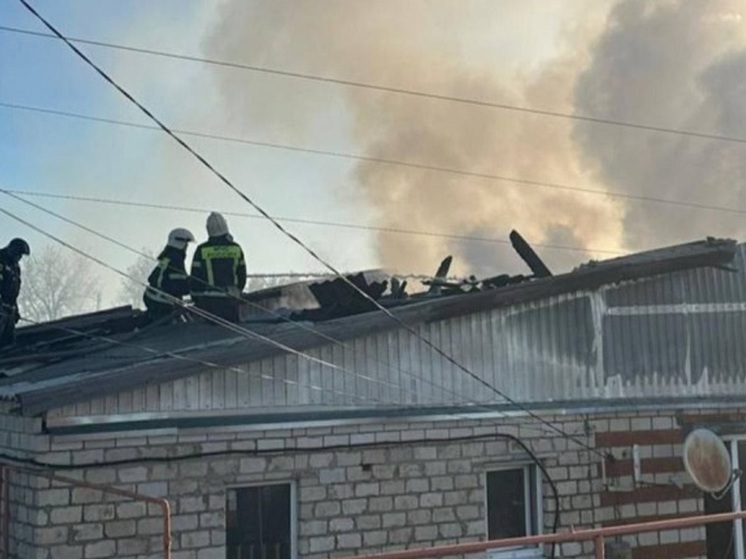 Огнеборцы Калмыкии ликвидировали пожар в Целинном районе