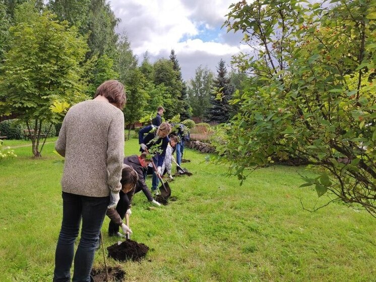 Ленинградцам назвали лучшее время для высадки деревьев