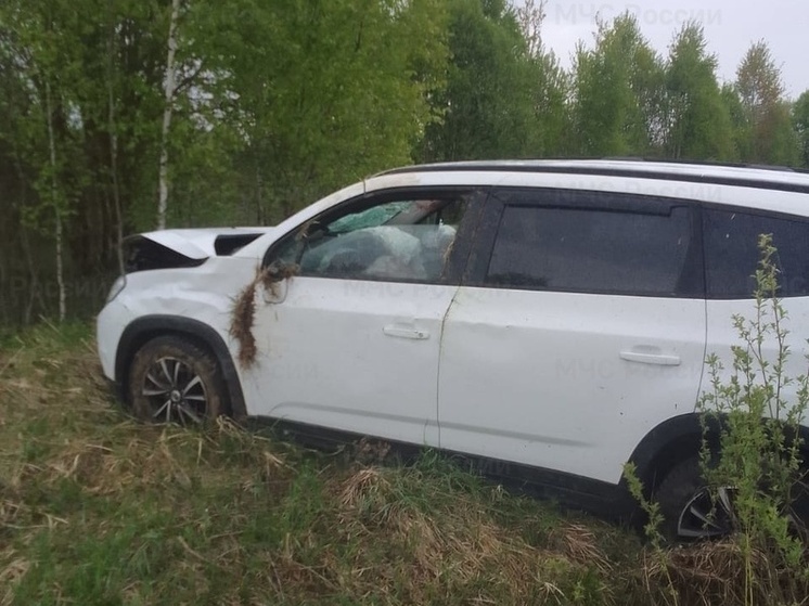 В Куйбышевском районе авто вылетело в кювет