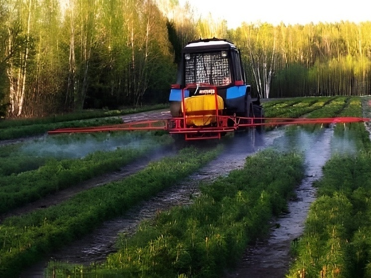 В Шумерлинском лесничестве идет лесокультурный сезон и защита от пожаров