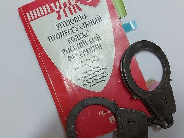 В Хабаровском крае расследование гибели близнецов ускорят по поручению главы СК России
