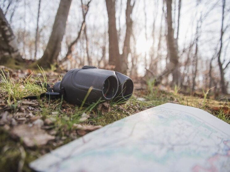 В апреле волонтеры в Томской области нашли погибшими 5 пропавших человек