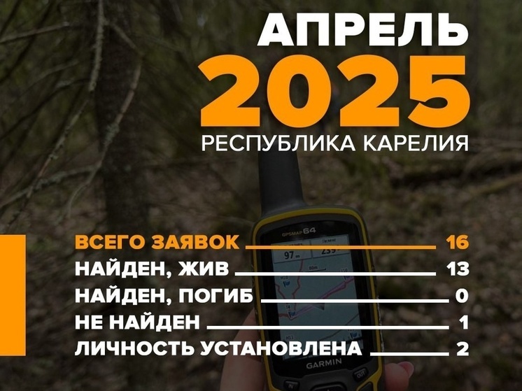 За апрель «ЛизаАлерт Карелия» помогла найти 13 пропавших