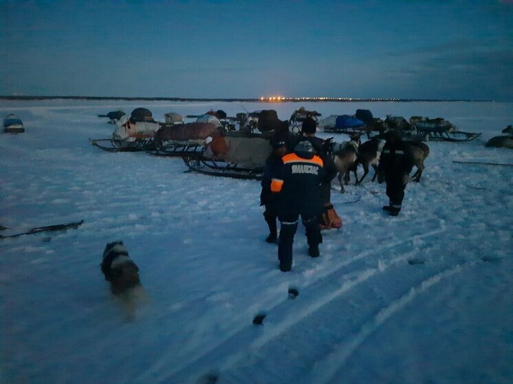В ЯНАО дети и взрослые провалились в наледь вместе с оленьей упряжкой