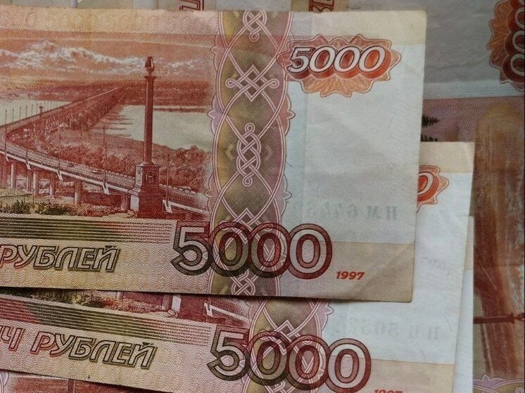 Пытался легко заработать денег и оказался в долгах пожилой житель Биробиджана