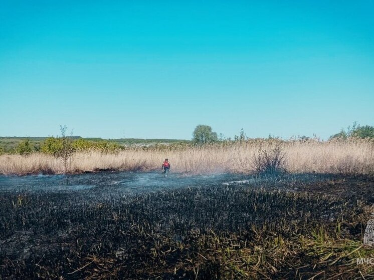 За выходные в ЛНР ликвидировали более 20 ландшафтных пожаров