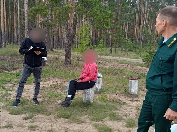 Шашлык в лесу обернулся жителю Чувашии 50-тысячным штрафом