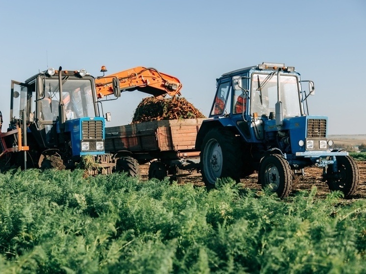 Минсельхоз Чувашии принимает заявки на субсидии от СХПК