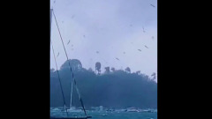Водяной смерч у Гваделупы устроил "рыбный дождь": видео