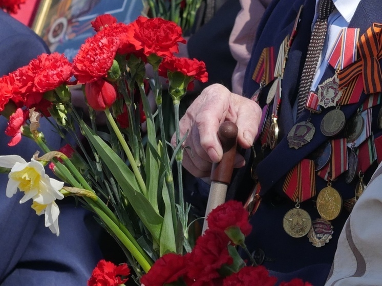 Вологодская областная библиотека поможет внести ветеранов войны в «Бессмертный полк» (0+)