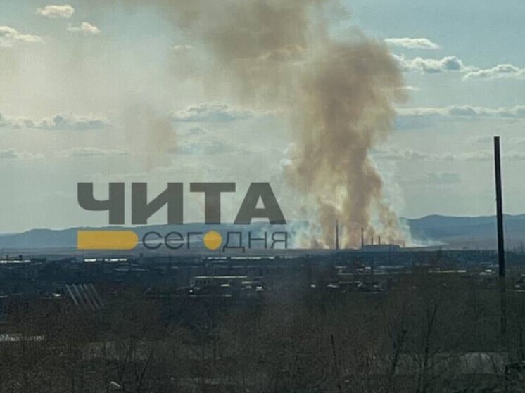 Пожар на 30 га тушат в районе Рудничного проезда в Чите