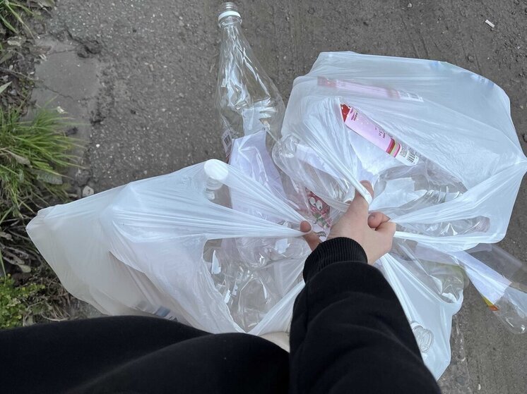 Экологические акции в поддержку бездомных животных пройдут в Вологде