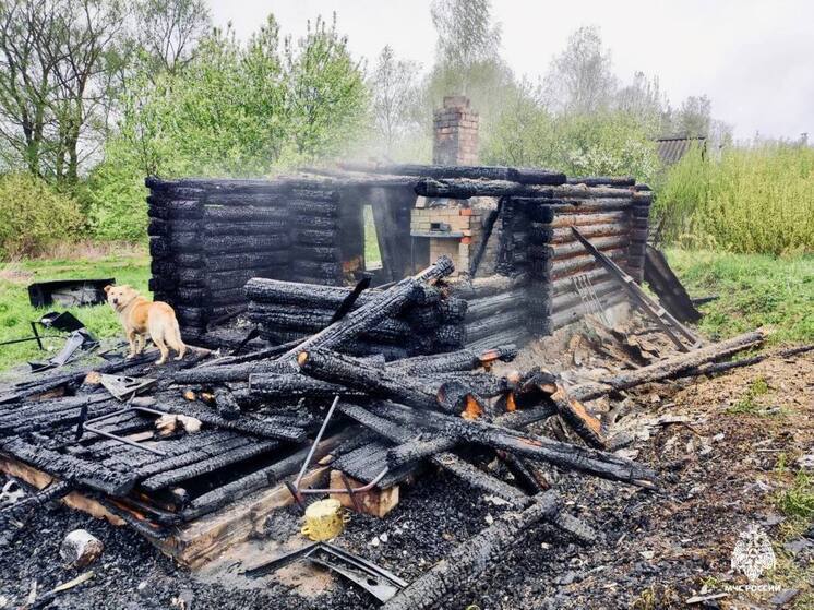 Неосторожное обращение с огнем стало причиной пожара в Великолукском округе