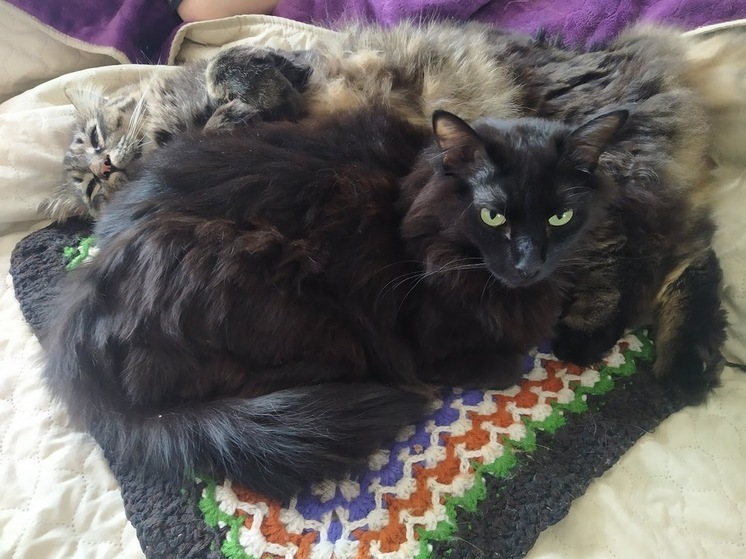 Приморье ожидают кратковременные дожди и потепление до +18°C — прогноз на 6 мая