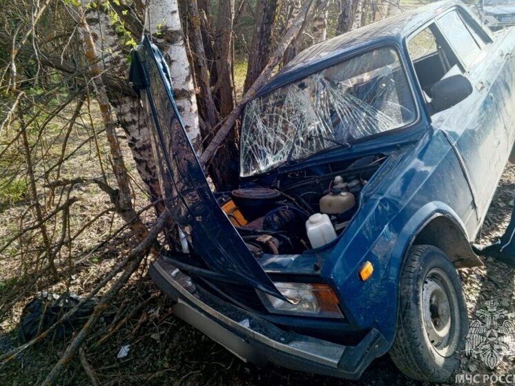 В Ивановской области 18-летний автомобилист врезался в дерево