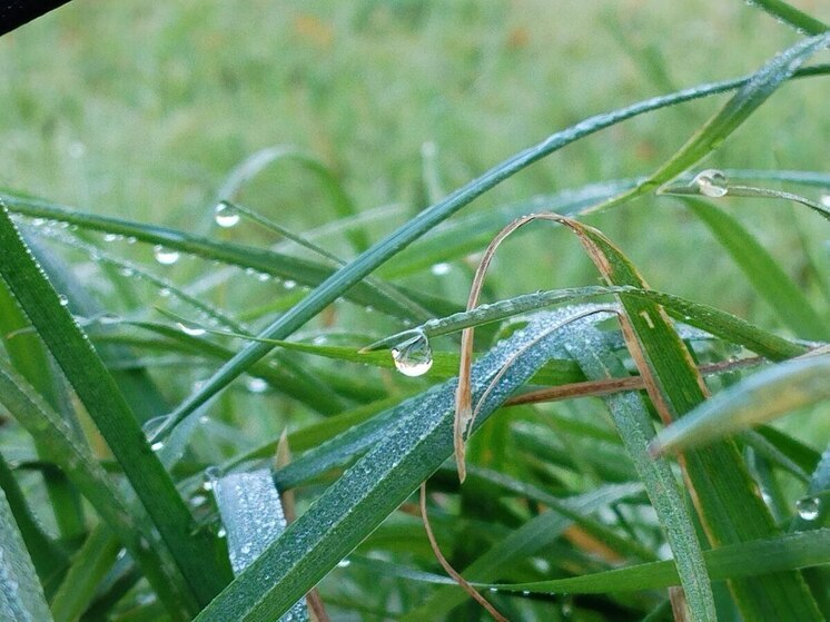 В Хакасию заглянут дожди с грозами и сильным ветером