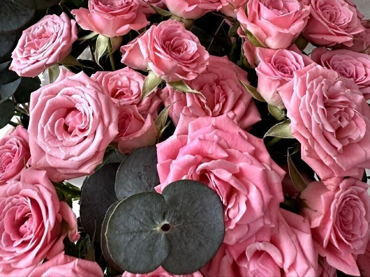 Путин поздравил тружениц тыла из Хакасии со 100- и 95-летием