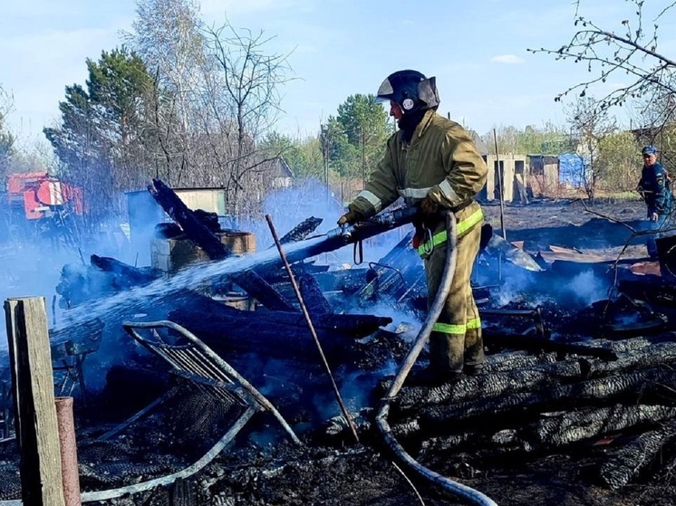 В Алтайском крае крупный пожар в садоводстве уничтожил несколько дачных домиков