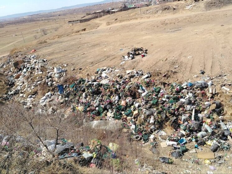 Восемь стихийных свалок обнаружил эконадзор в Засопке под Читой