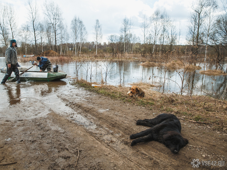 В Кузбасском городе вода затапливает улицу и дома