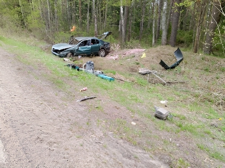 За прошлую неделю во Владимире произошло 289 ДТП