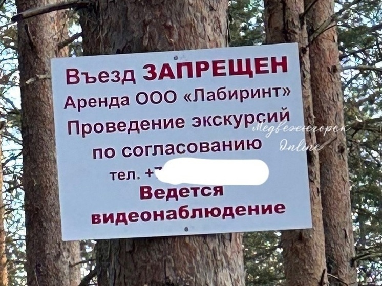 Арендатор объяснил, кому запрещён подъезд к историческому оборонительному комплексу в Медгоре