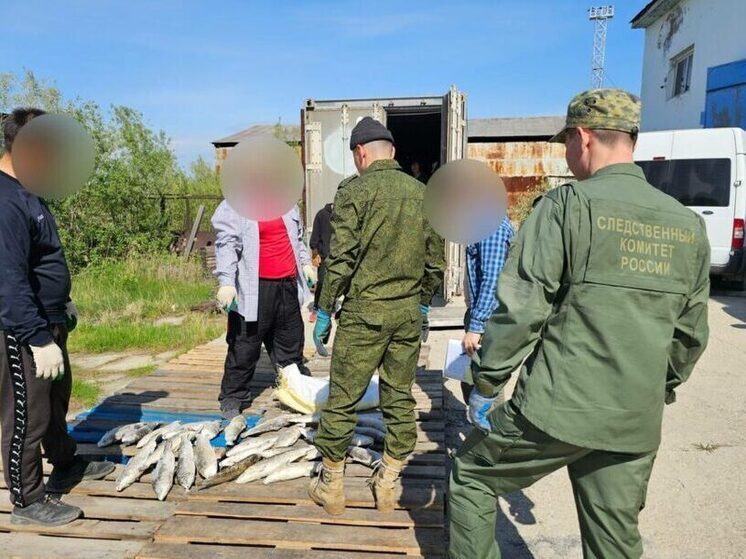 В Якутии депутат и предприниматель задержаны за незаконную торговлю рыбой на сумму более 6 миллионов рублей