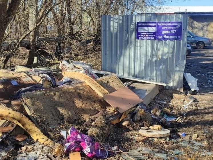 В Александрове прокуратура требует навести порядок с мусором