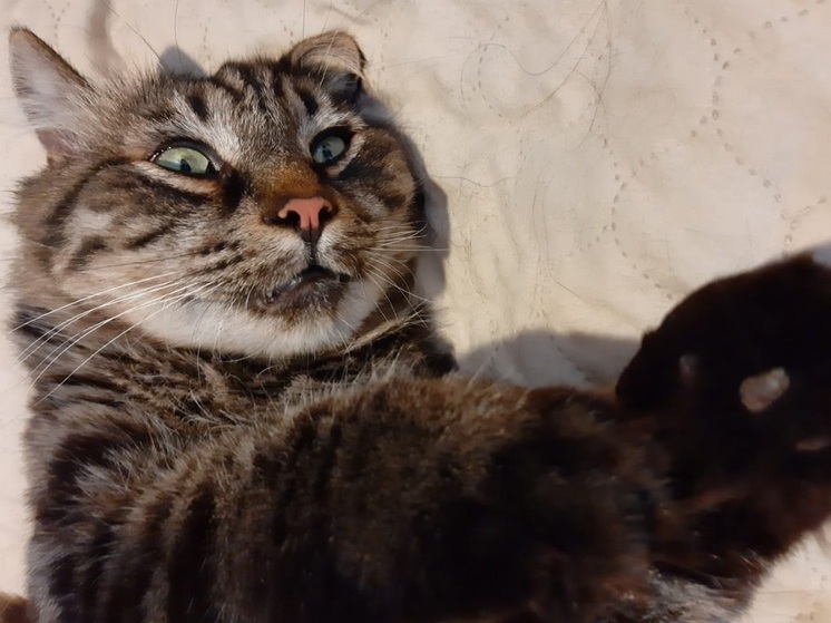 Завершение отопительного сезона во Владивостоке снова перенесли: новая дата