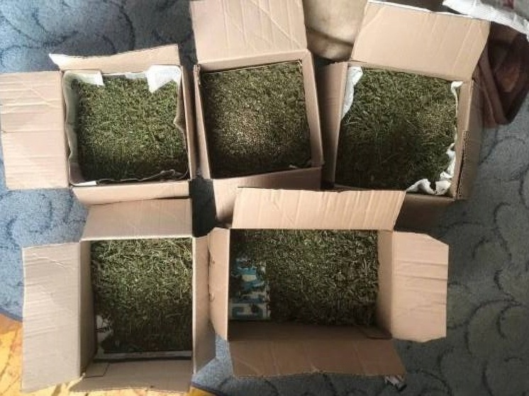 Силовики задержали астраханку, хранившую дома наркотические вещества