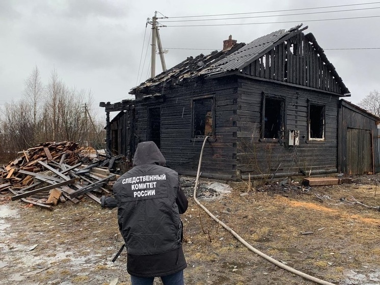 В Няндоме при пожаре погиб мужчина