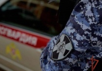 Сотрудники Росгвардии задержали двух мужчин, которых подозревают в нанесении побоев и похищении имущества с денежными средствами у жителя Рубцовска. Отмечается, что они пытались сбежать от стражей правопорядка, выпрыгнув с балкона многоэтажного здания.