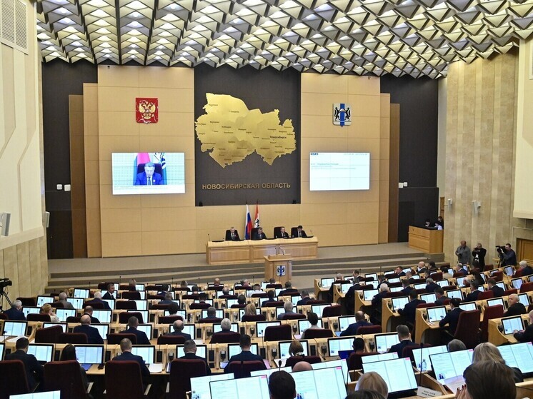 Депутаты Заксобрания НСО сразу в двух чтениях единогласно поддержали представленные Правительством региона изменения в областной бюджет