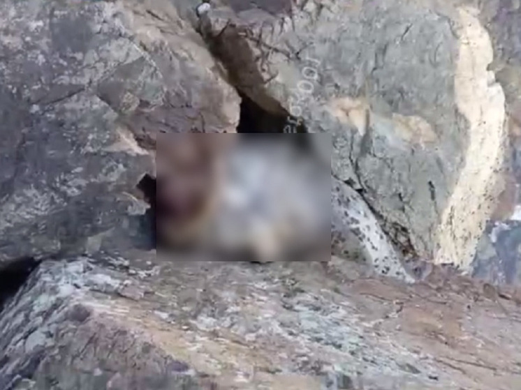 Обезглавленный труп обнаружили отдыхающие на берегу моря в Приморье