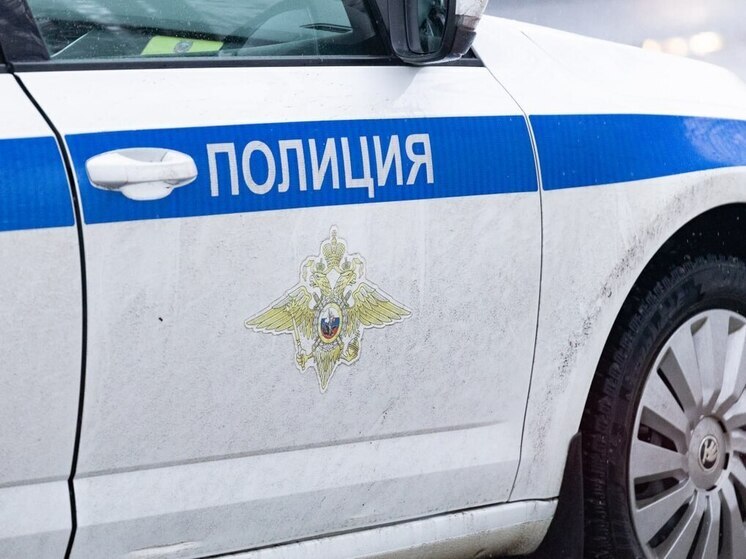 В Петербурге пенсионерка выпала с балкона в присутствии ранее судимого сына