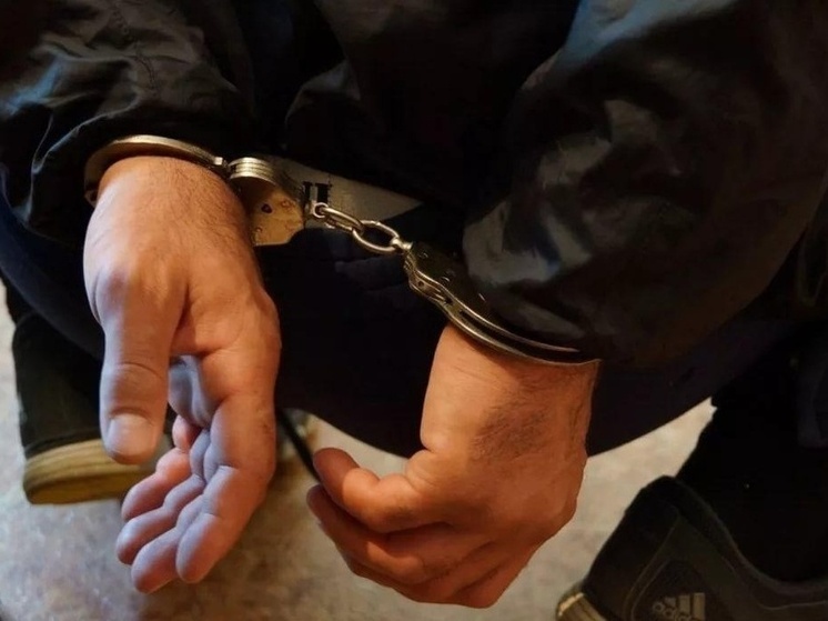 Курьера мошенников, обманувших пенсионерку из Выборга, задержала полиция