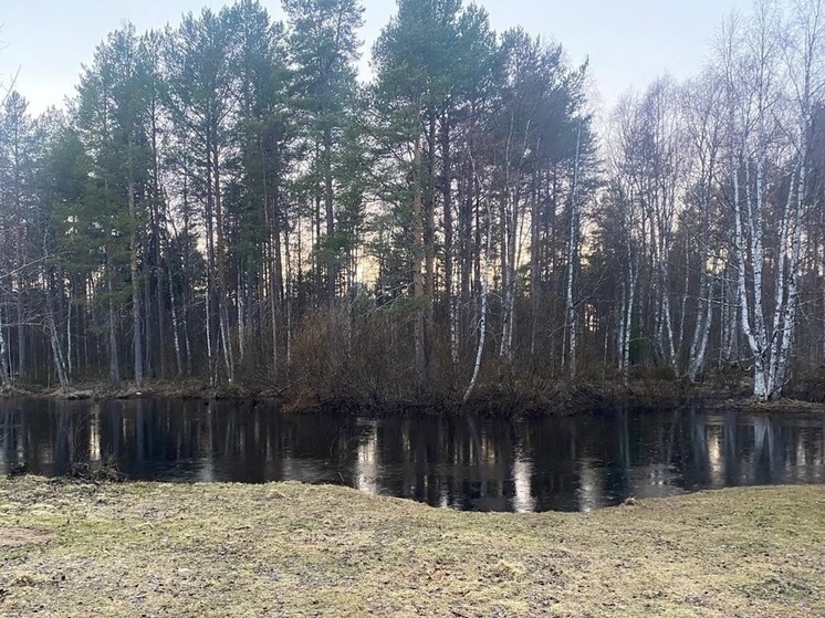 В Северодвинске женщина погибла во время катания на сап-борде