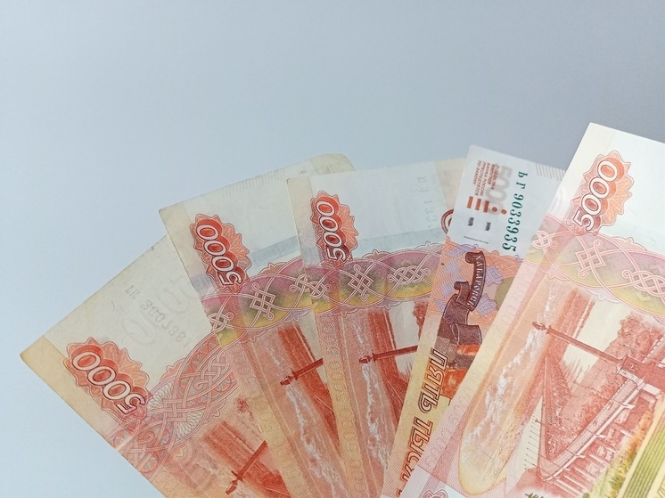 На проведение выборов депутатов Самарской губдумы выделят 114 млн рублей