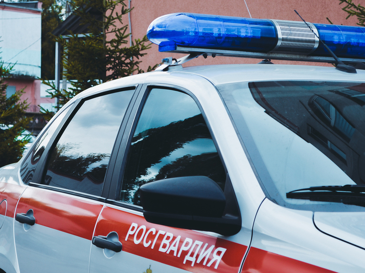 Пьяная дебоширка задержана сотрудниками Росгвардии в пензенском кафе