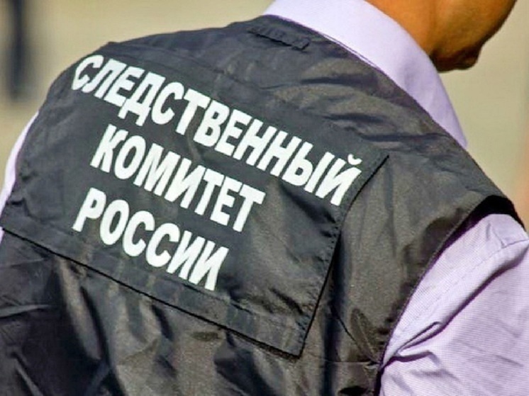 В ЯНАО застреливший в тундре собутыльника мужчина отсидит 15 лет