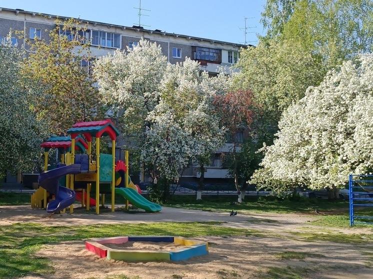 В Екатеринбурге зацвели первые яблони