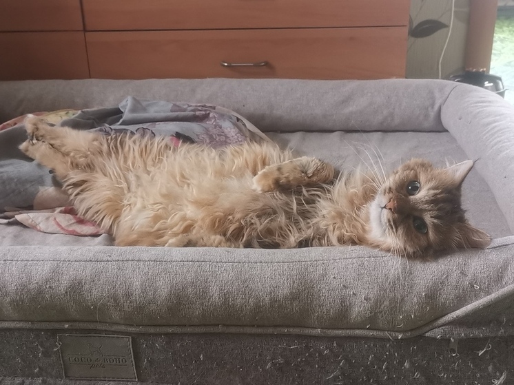 Стало известно, какая погода ожидается в Приморье в среду, 7 мая