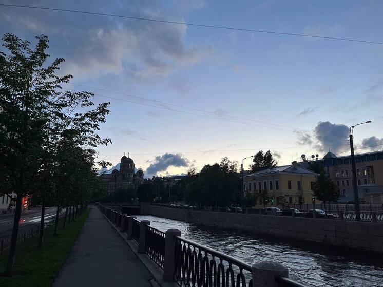 Жители Петроградки возмутились соседством крыс, стертой «зеброй» и грязным фонтаном