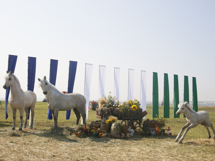 Жители Башкирии могут поучаствовать в конкурсе грантов «Агротуризм»