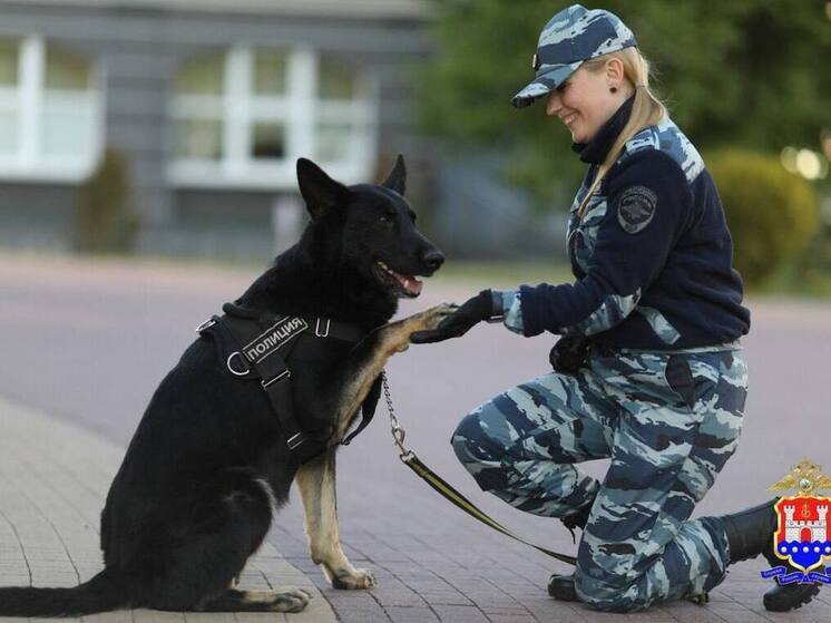 Кинолог и служебная собака спасли потерявшегося в лесу пенсионера