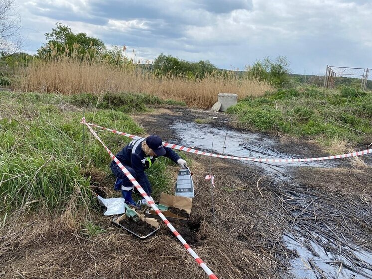 Почти 2 млн рублей требует Росприроднадзор от воронежской фирмы за вред почве