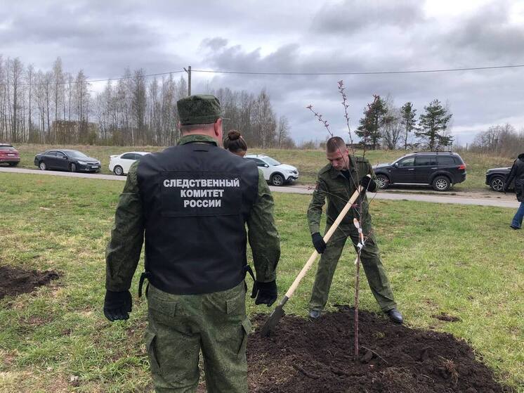 В Приозерске следователи посадили деревья