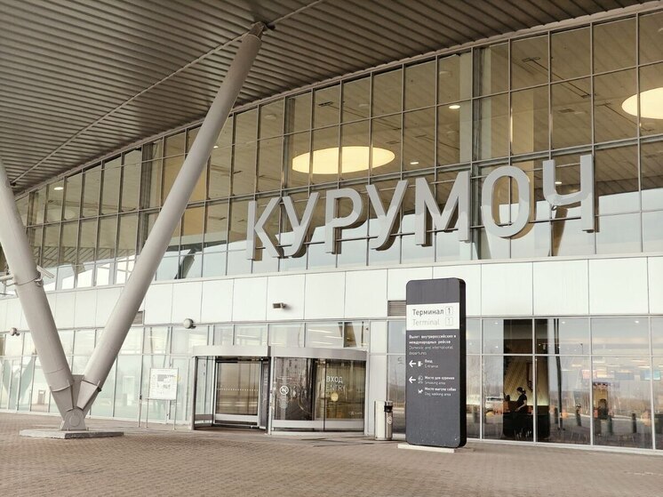 В «Курумоче» пресекли ввоз 13 партий молочных, мясных и пчеловодческих изделий