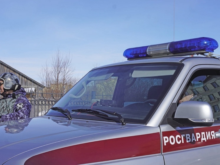 За неделю росгвардейцы НАО 24 раза выезжали на помощь жителям округа