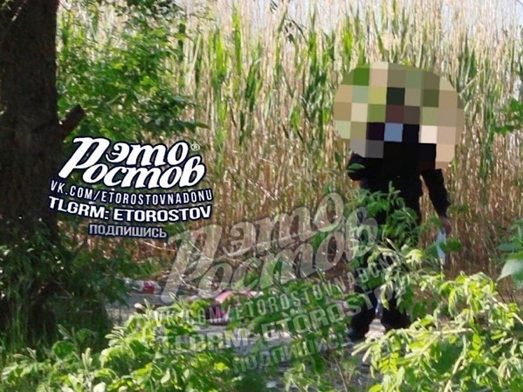 На Зеленом острове в Ростове обнаружили труп женщины